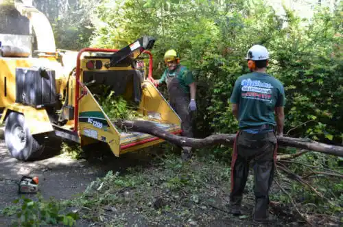 tree services Mounds